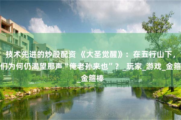 技术先进的炒股配资 《大圣觉醒》：在五行山下，我们为何仍渴望那声“俺老孙来也”？_玩家_游戏_金箍棒