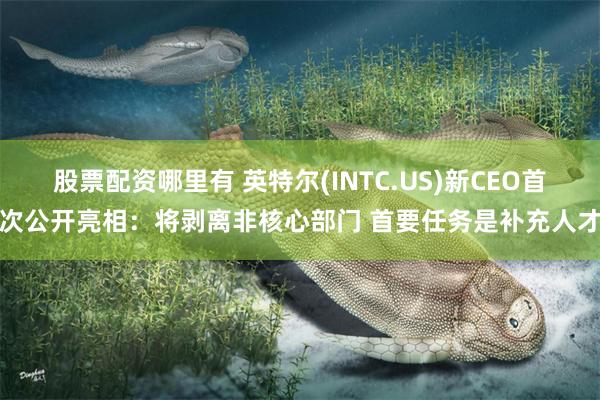 股票配资哪里有 英特尔(INTC.US)新CEO首次公开亮相：将剥离非核心部门 首要任务是补充人才