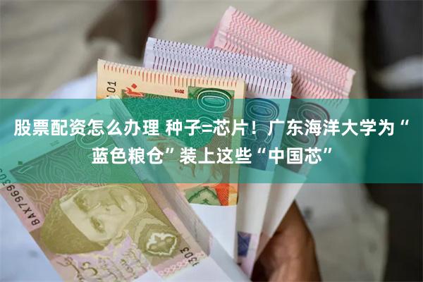 股票配资怎么办理 种子=芯片！广东海洋大学为“蓝色粮仓”装上这些“中国芯”