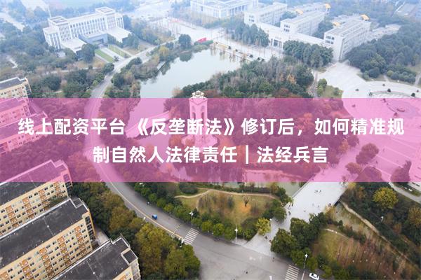 线上配资平台 《反垄断法》修订后，如何精准规制自然人法律责任︱法经兵言