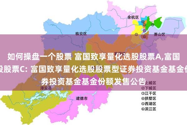 如何操盘一个股票 富国致享量化选股股票A,富国致享量化选股股票C: 富国致享量化选股股票型证券投资基金基金份额发售公告