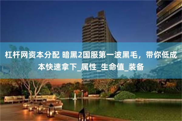 杠杆网资本分配 暗黑2国服第一波黑毛，带你低成本快速拿下_属性_生命值_装备