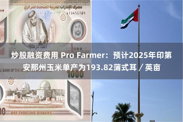 炒股融资费用 Pro Farmer：预计2025年印第安那州玉米单产为193.82蒲式耳／英亩